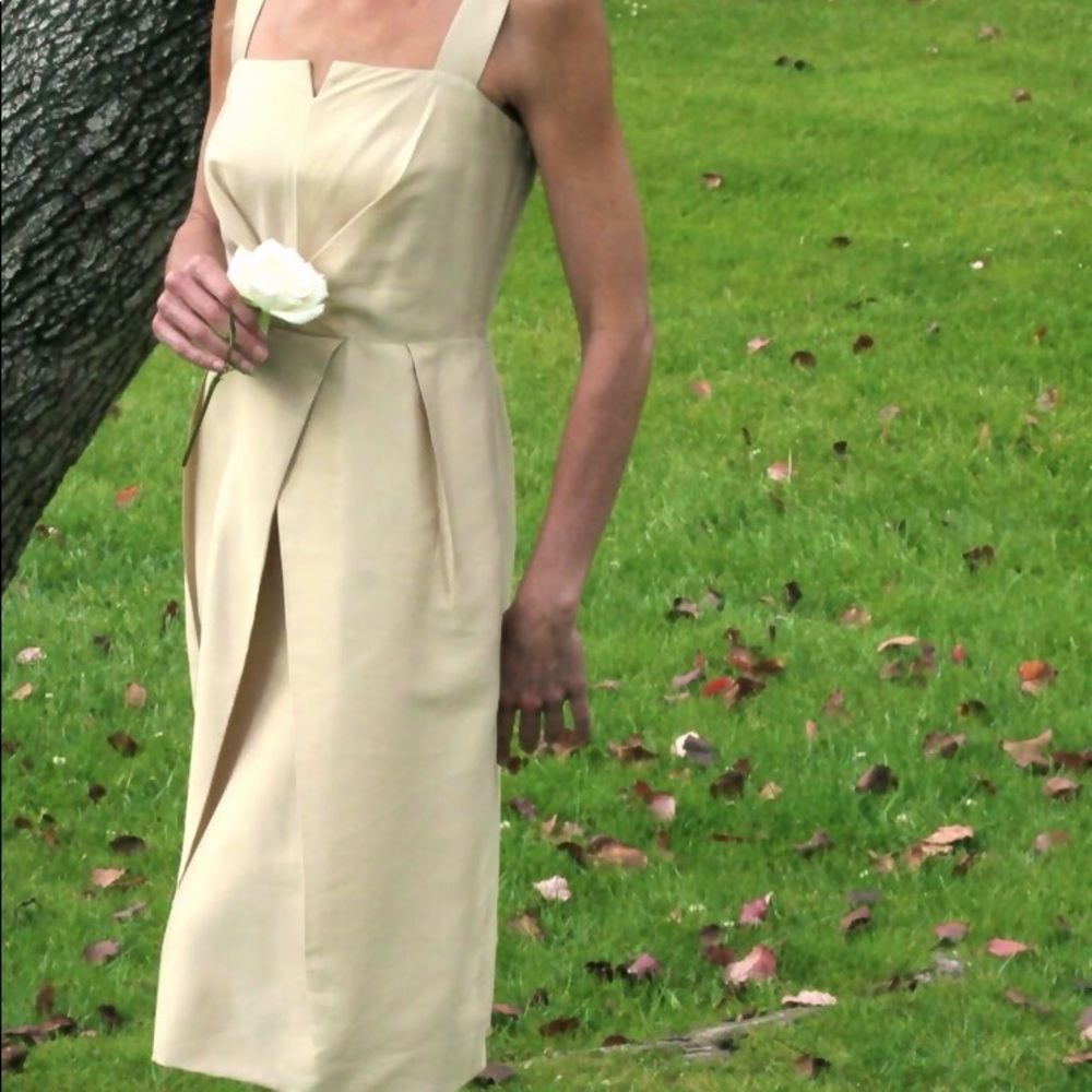 Silk cocktail dress Max Mara size 6 champagne